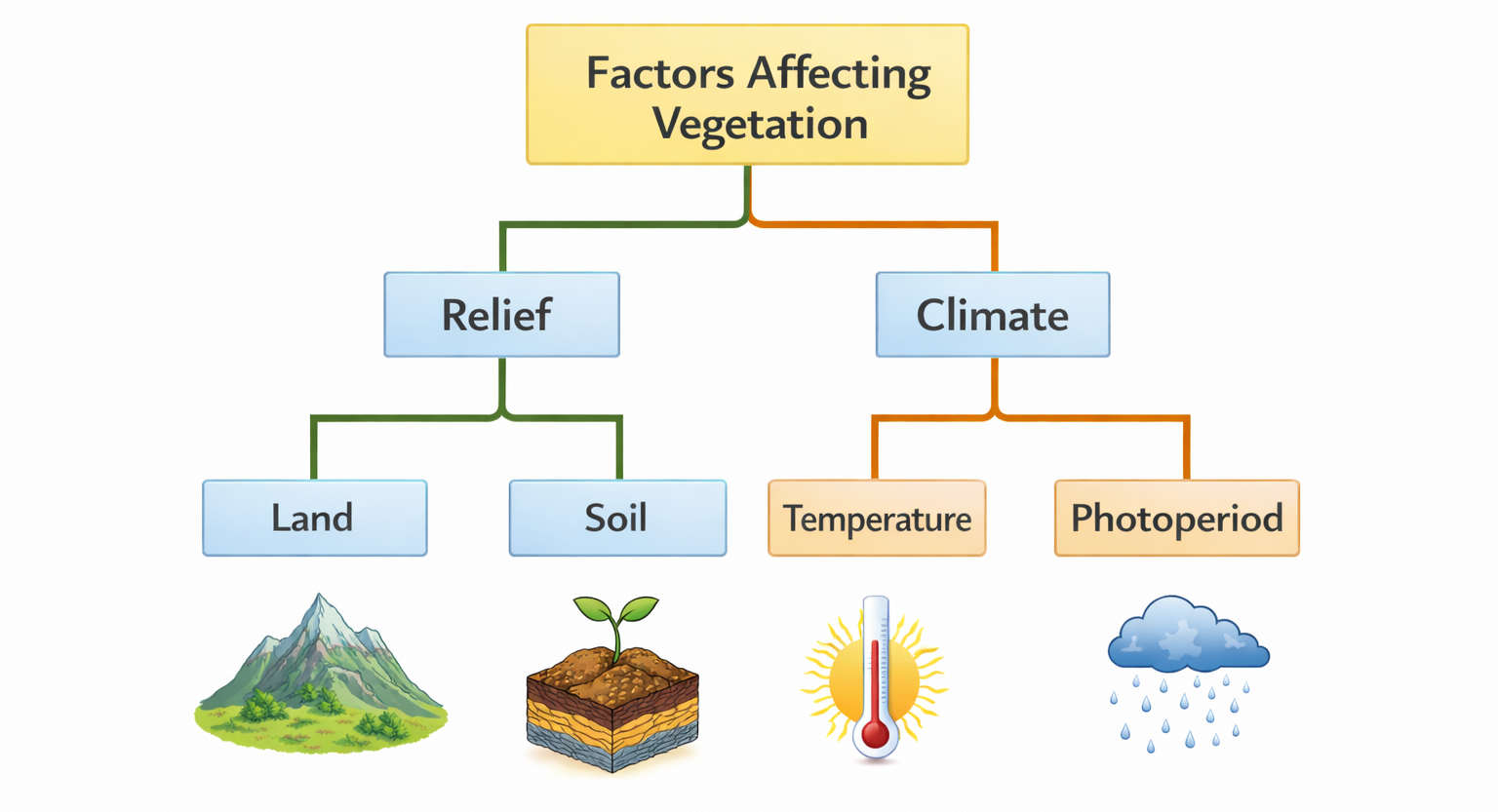 Factors Affecting Vegetation Chart